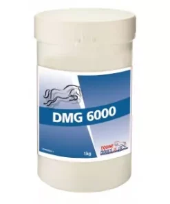 DMG 6000