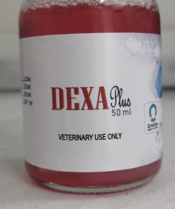 Dexa Plus