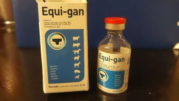 EQUI-GAN