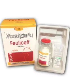 Feuliceff-Injection-