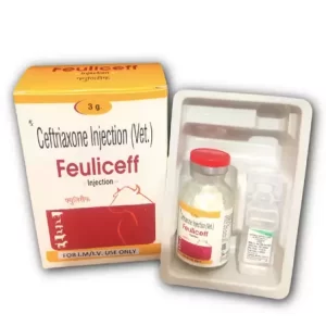 Feuliceff-Injection-