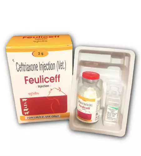 Feuliceff-Injection-